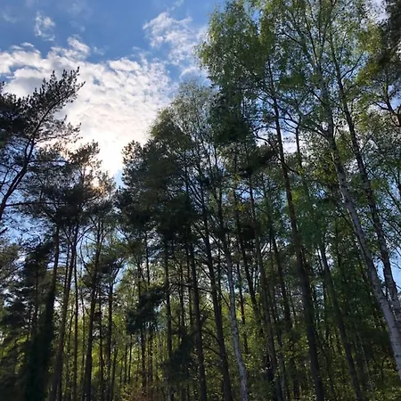 Lawendowe Miedzywodzie