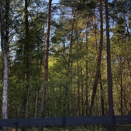 Lawendowe Apartment *