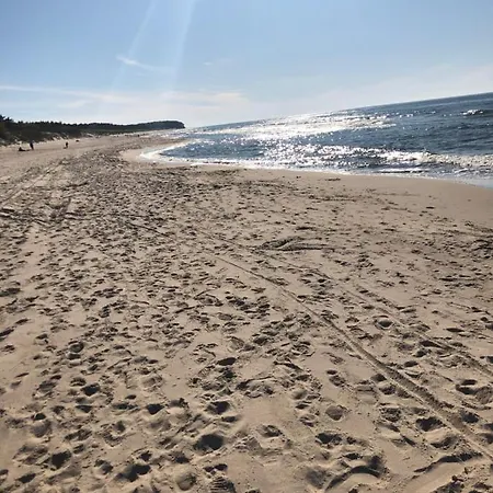 Lawendowe Apartment *