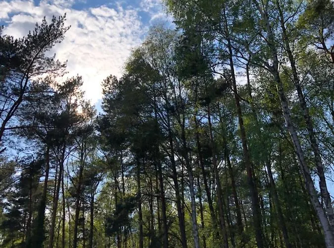 Lawendowe Międzywodzie