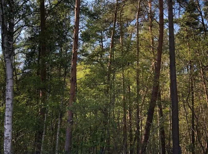 Lawendowe Apartamento *